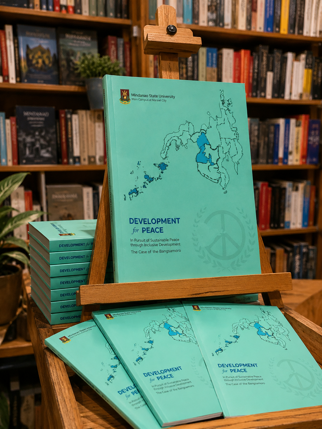 Development for Peace book cover